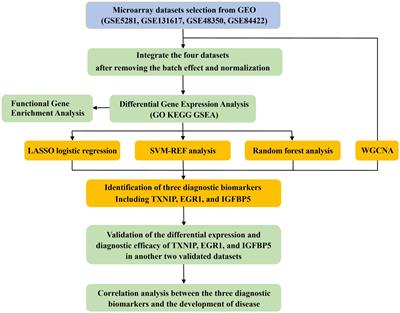 Identification of diagnostic biomarkers in Alzheimer’s disease by integrated bioinformatic analysis and machine learning strategies